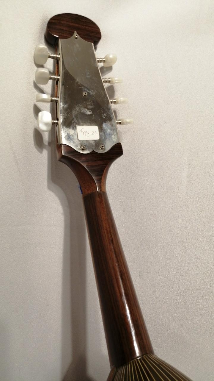 CALACE No.24 Mandolin
