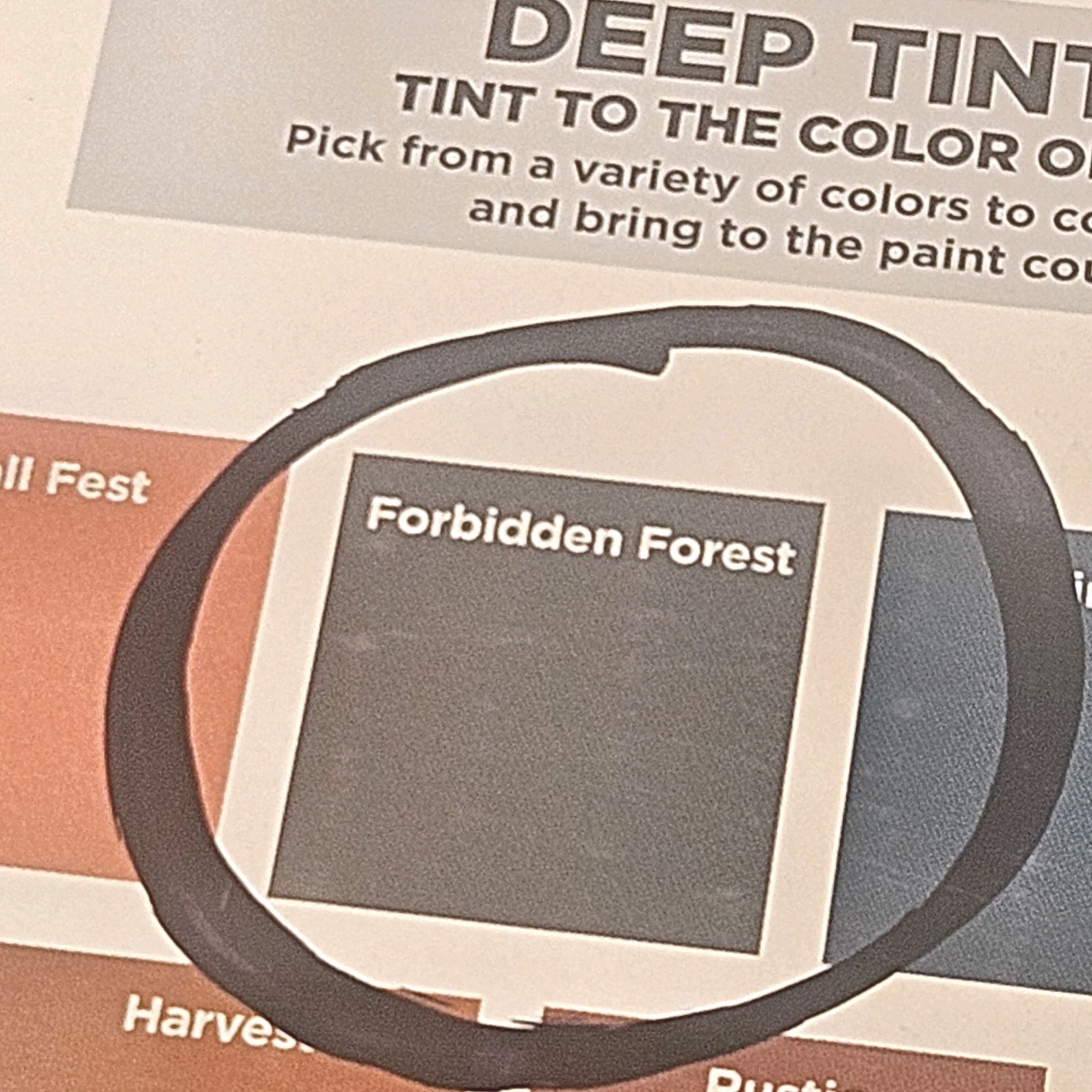 2 Pk Forest Gr Rust-Oleum 380390 Cabinet Transformations Kit Deep Tint Base Kit