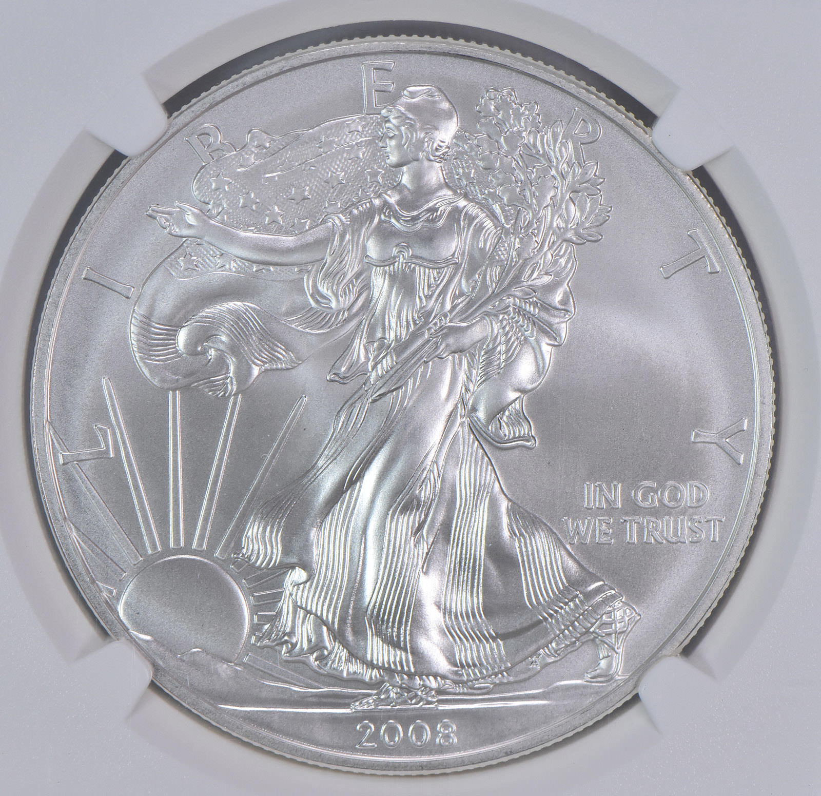 2008-W Burnished Silver Eagle Reverse Of 2007 MS69 NGC Brown Label