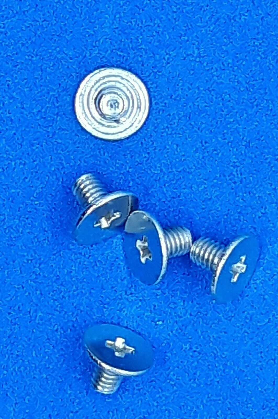 Large Sea Turtle Conchos / Concho 2" x 7/8" 5 Total