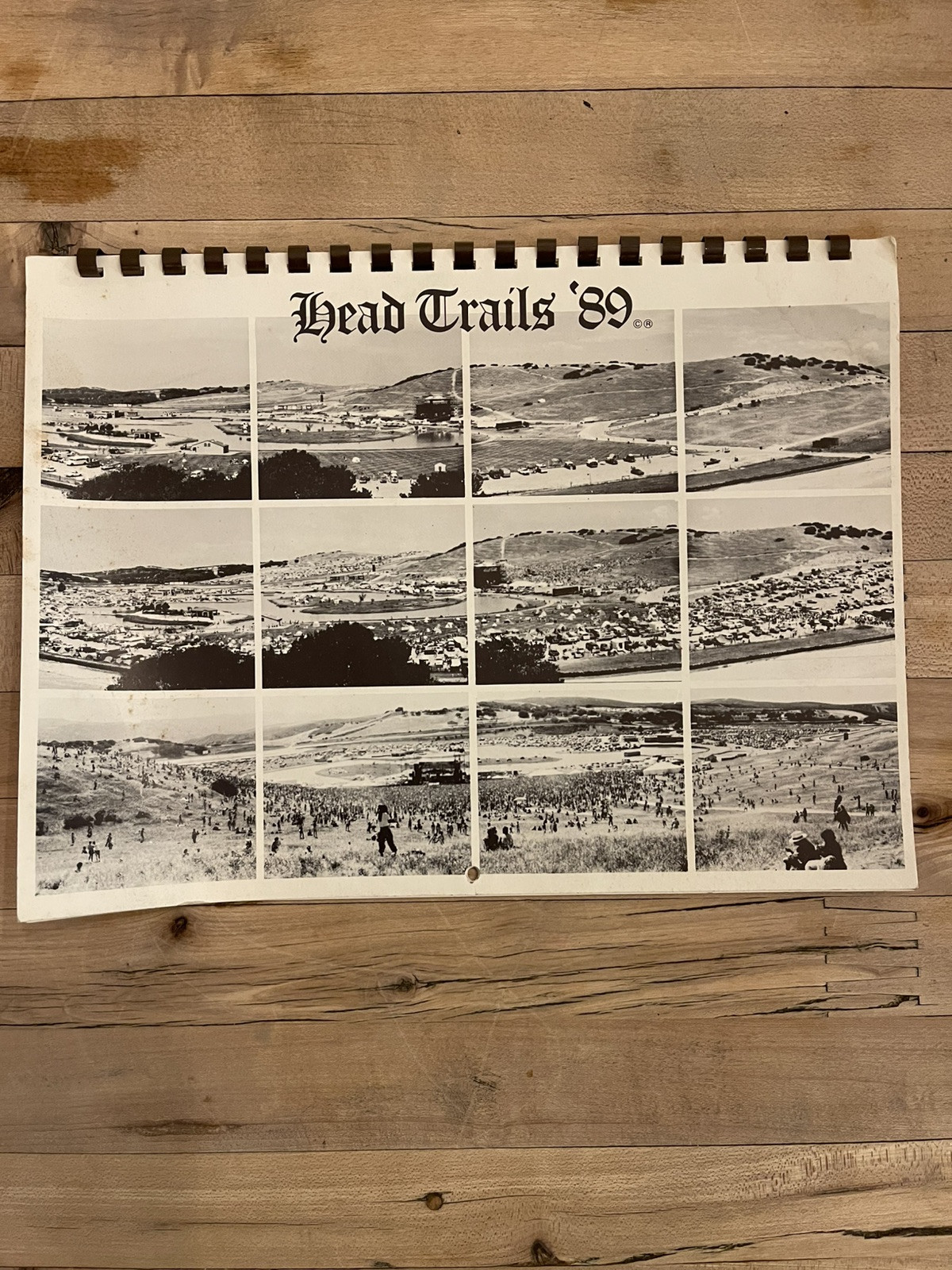 Vintage Grateful Dead Calendar - Dead Trails 1989 - Super Rare