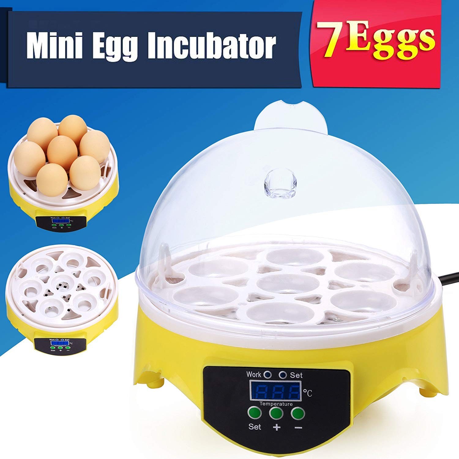 7 Egg Mini Incubator for Kids & Beginners 360° View Manual Temperature Control