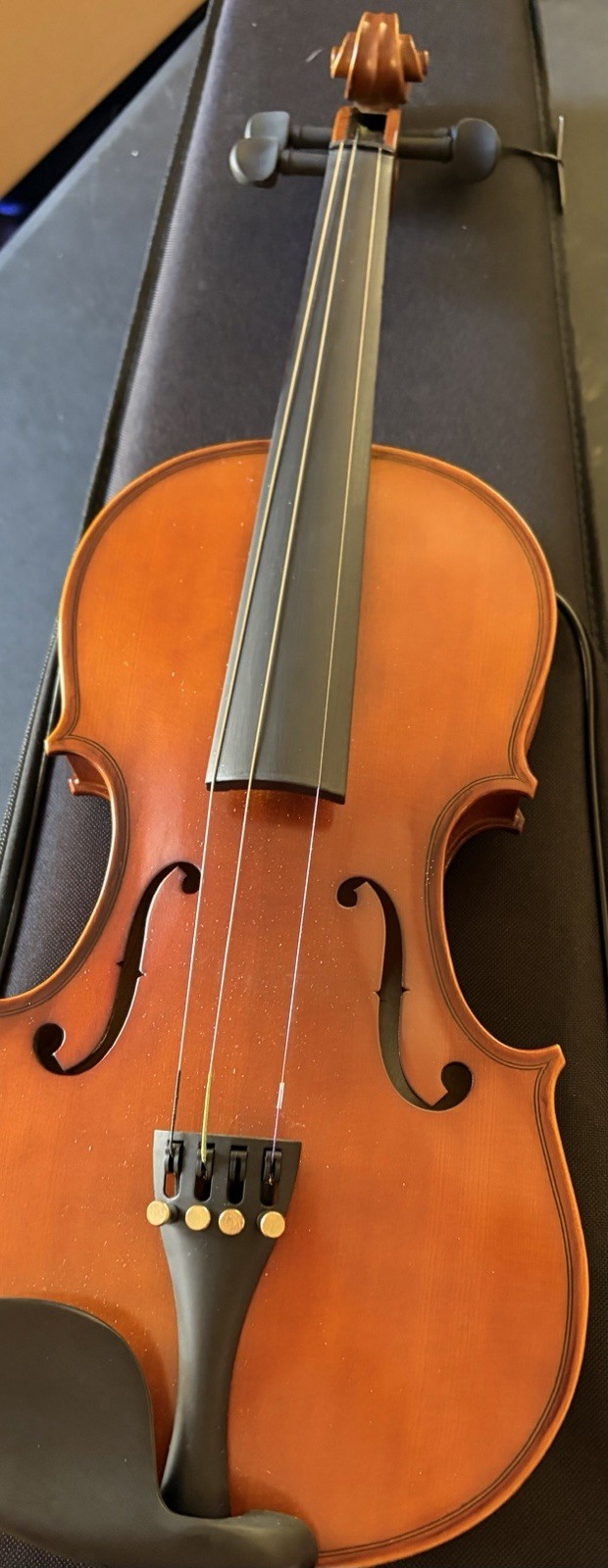 MeloCrest 4/4 Full Size Violin for Adults - Solid Wood, Spruce Top (MVA-800)