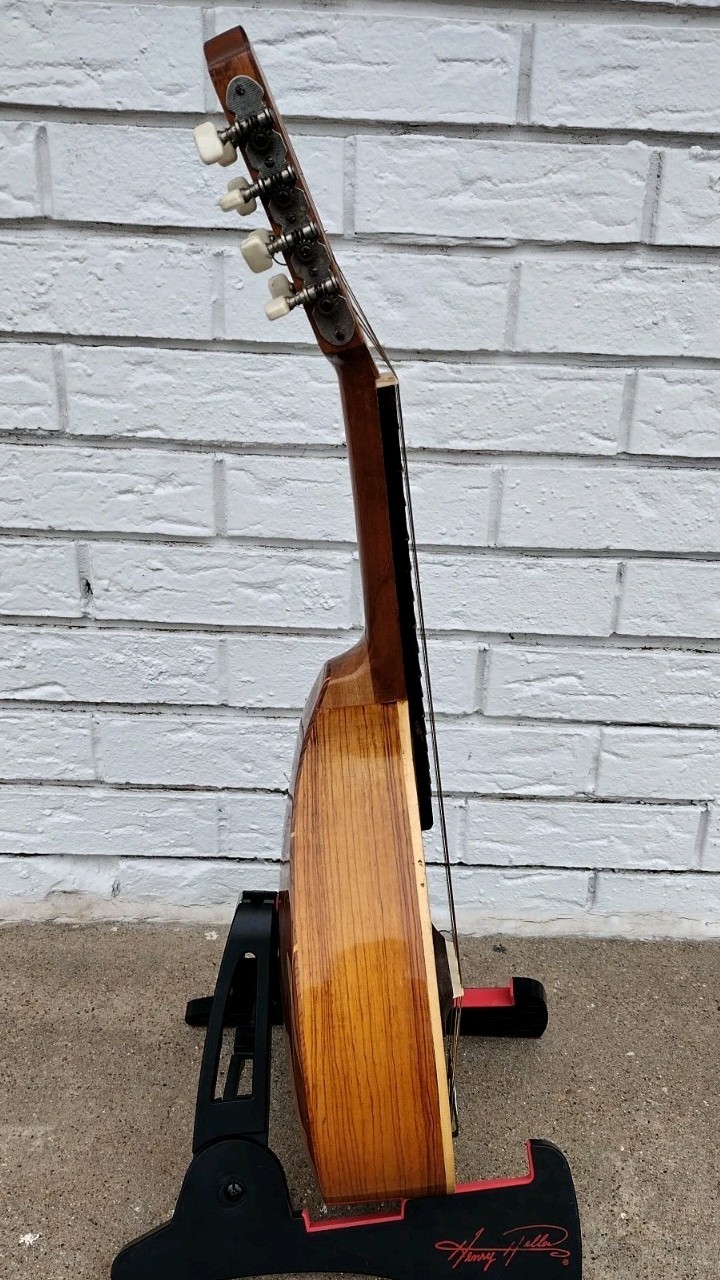 Bowlback Mandolin w/Carrying Bag! -LL