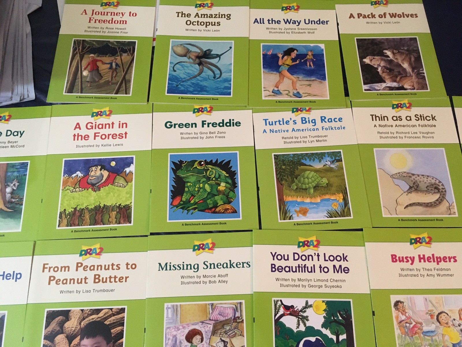 DRA2 Developmental Reading Assessment K-3 Grade K 1st 2nd 3rd 22 Books Readers