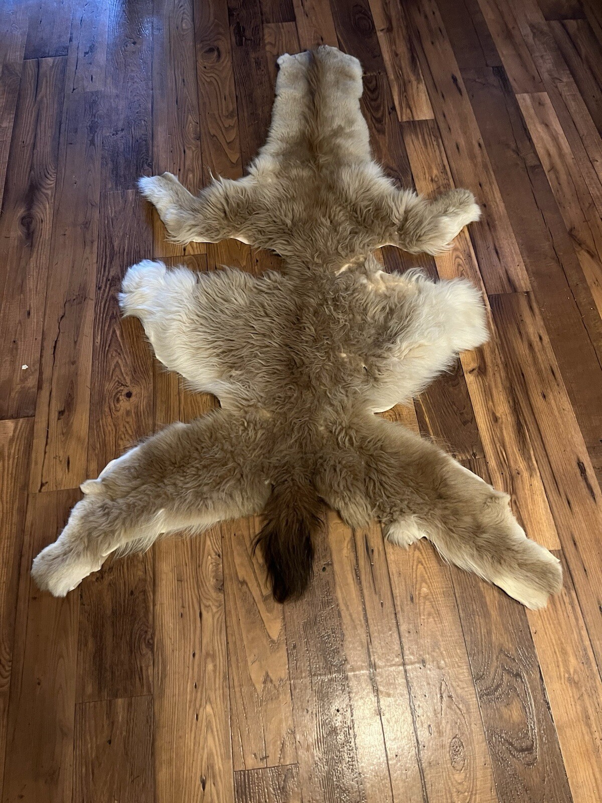 Alpaca Hide