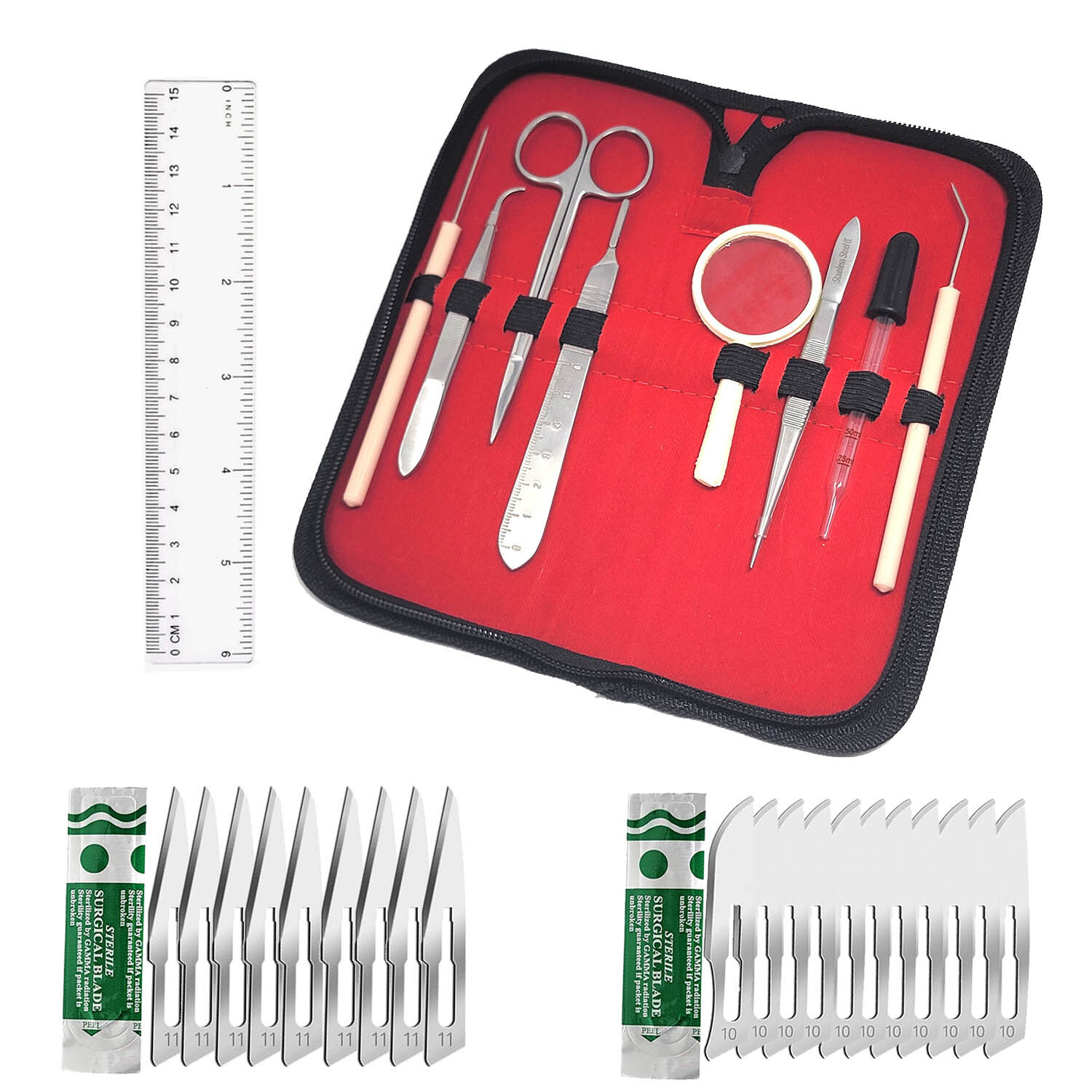 NEW 30pc Plant Study & Research Kit, Botany Dissection Kit for Lab & Field Study