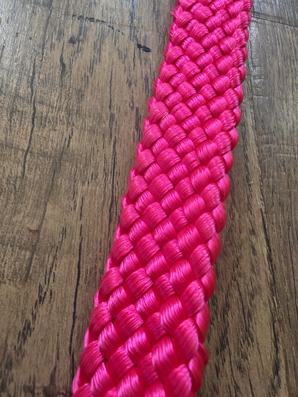 Western Reins