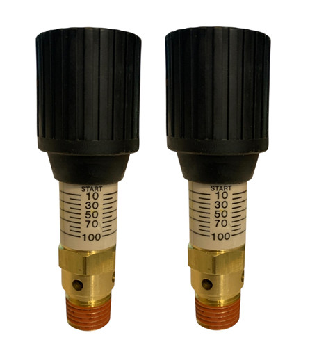 2PK Control Devices 1/4" Variable Pressure Relief Valve 0-100 psi Adjustable
