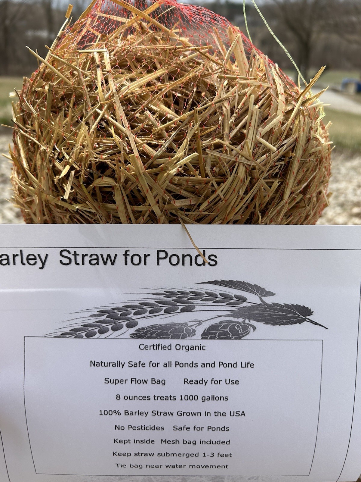 8 oz Organic Barley Straw Bale Pesticide Free Treats 1000 Gallons Pond