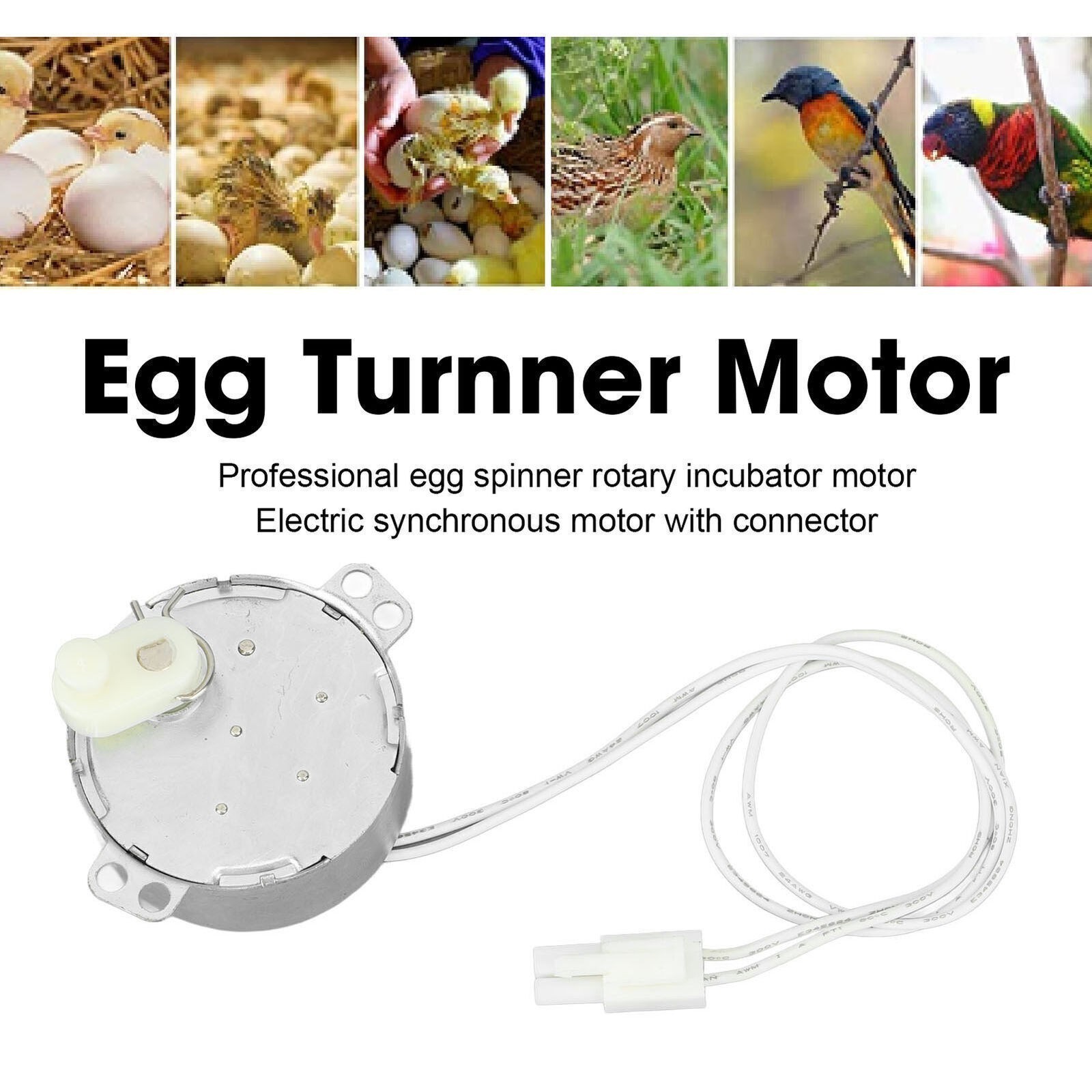 Egg Turnner Motor 4W Egg Turner Rotator Incubator Motor for Chickens Ducks Goose