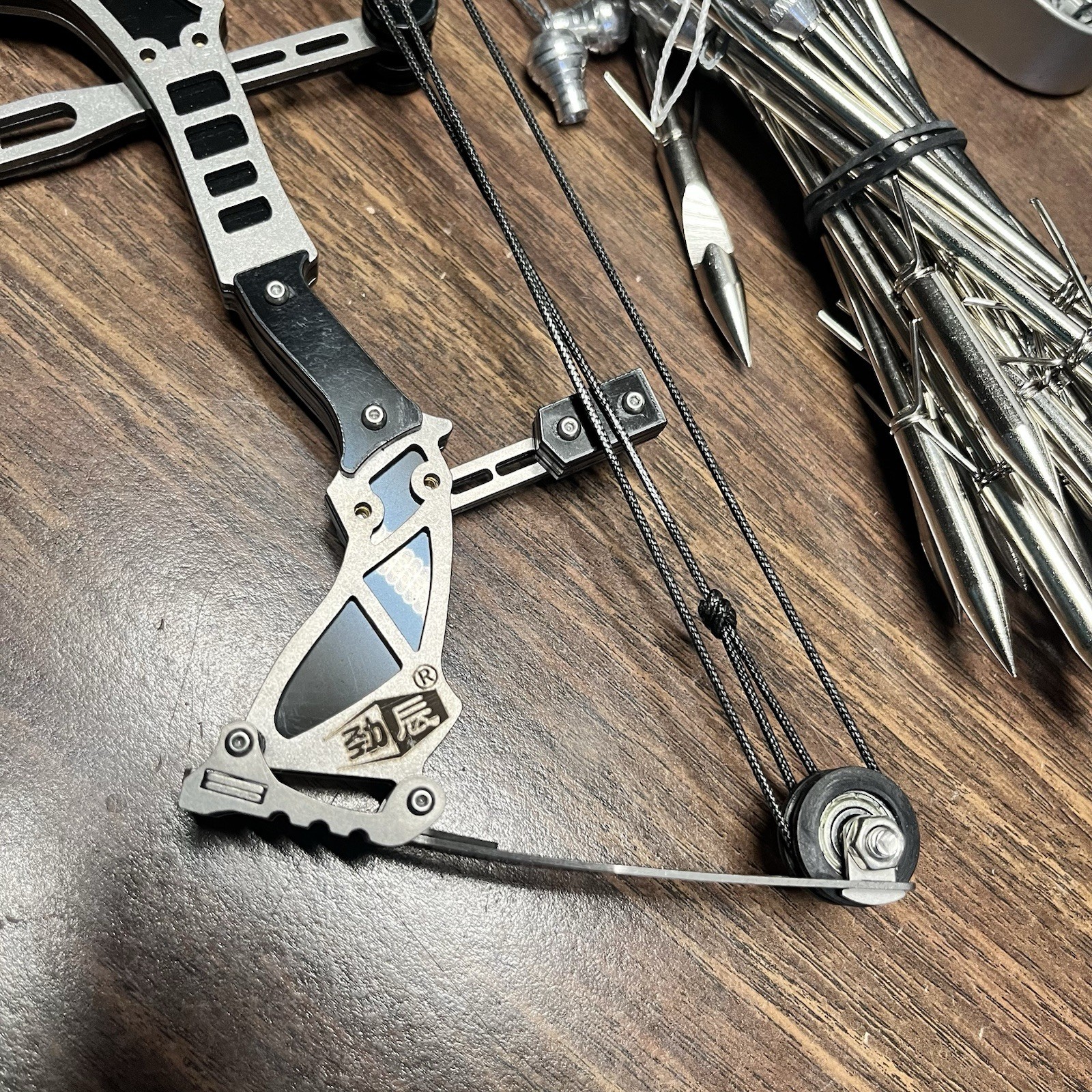 Mini 9” Compound Bow & Fishing Arrows Stainless Steel Small Hand Compound Bow.
