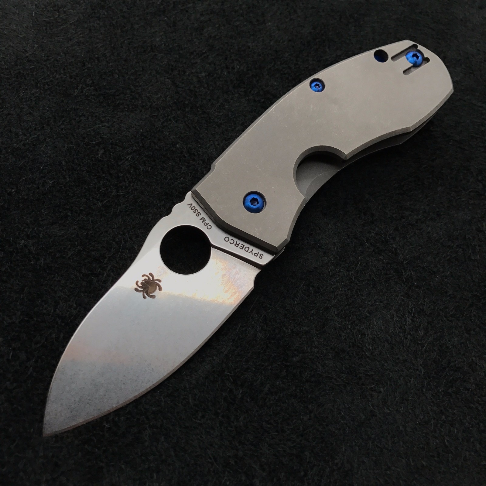 Blue Titanium Screw Set (NO KNIFE) for Spyderco Techno (6) ~ C158TIP