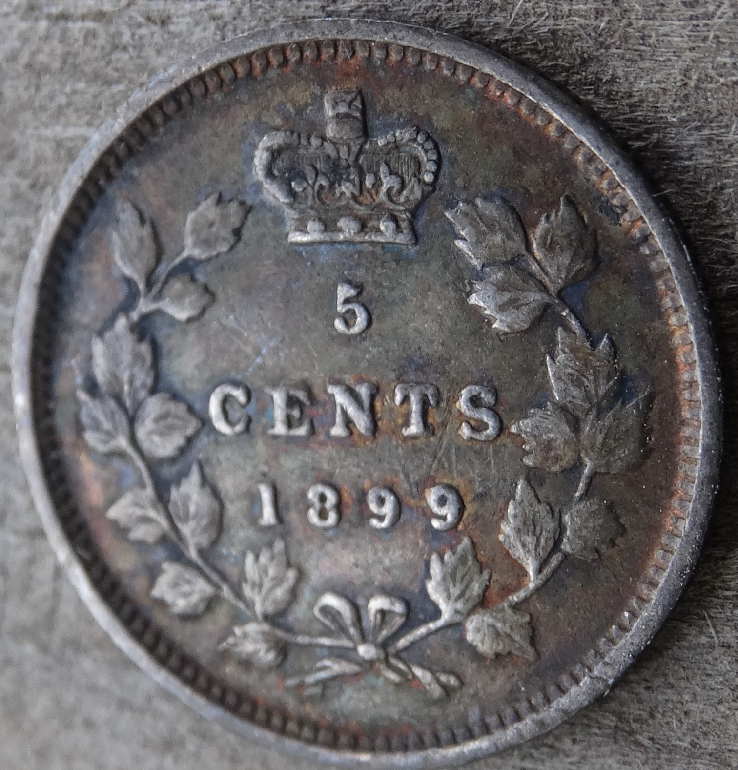 1899 Canada Queen Victoria Sterling Silver 5 Cents