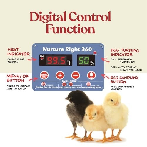 Egg Incubator 22 Capacity Automatic Turner Temperature Humidity Control Clear