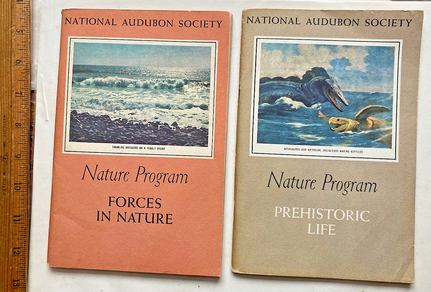2-1954 Nat. Audubon Society Nature Program Books. Prehistoric; Forces in Nature