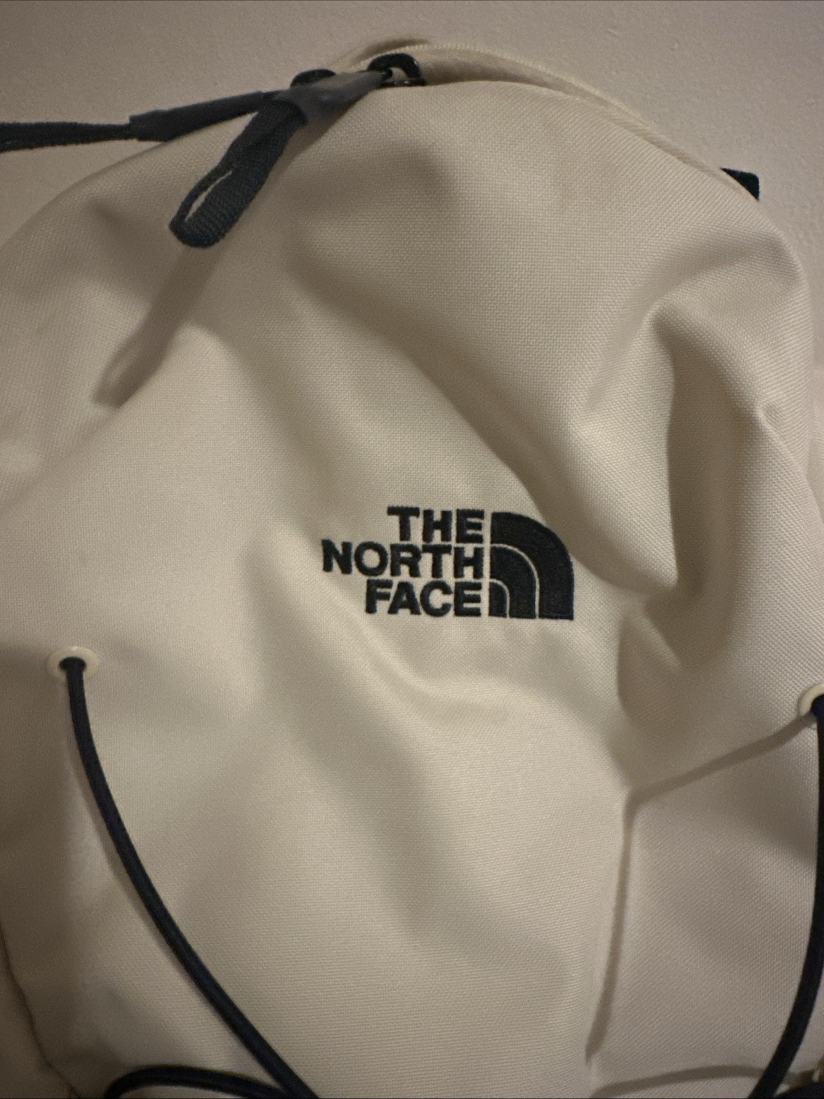 Jester Backpack Light Being The North Face Brand New Never Used