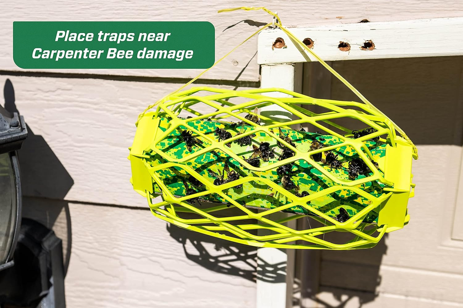 Carpenter Bee Trapstik – Also Works on Wasps, Mud Daubers