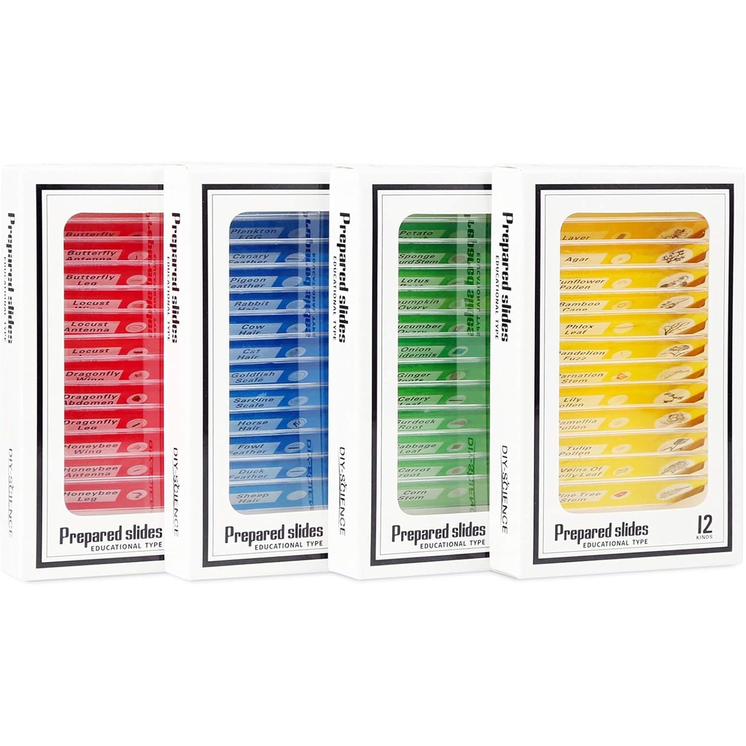 NEW - 48 DIY Science Microscope Prepared Slides Educational - Classroom
