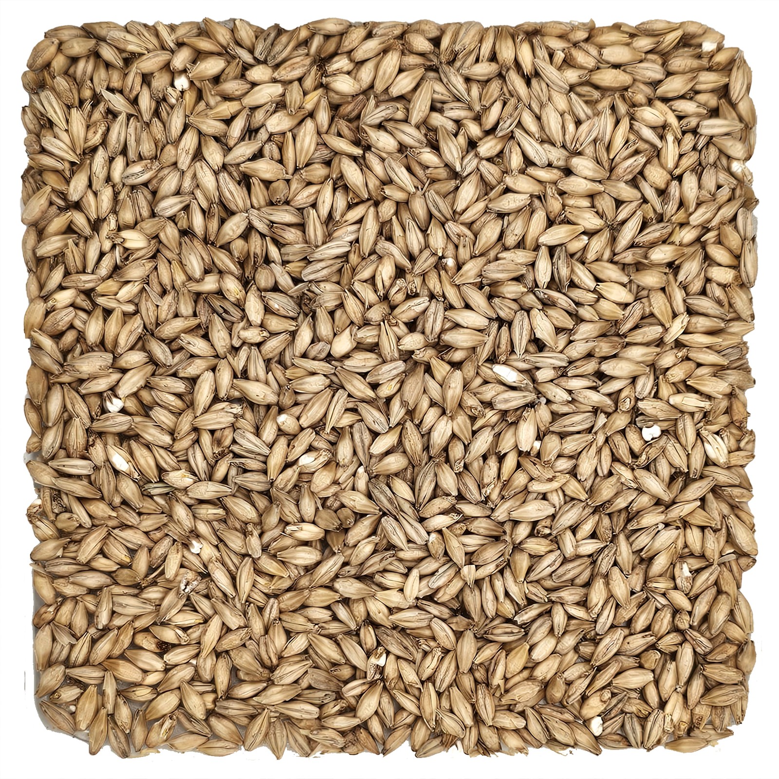 Home Brew Ohio 2-Row Grain 5lb