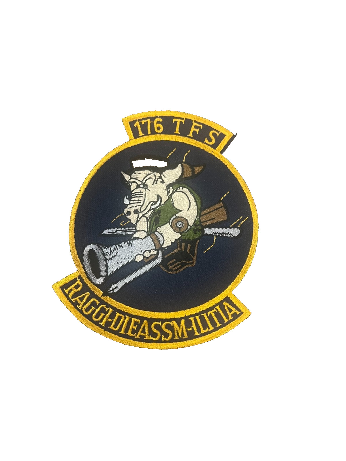 176 TFS RAGGI-DIEASSMILITIA USAR Patch