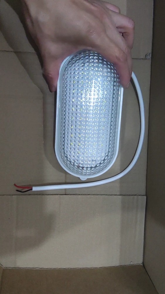 Moistureproof Explosion-Proof Lighting Lamp 10w LED Cold Storage Lamp Waterproof