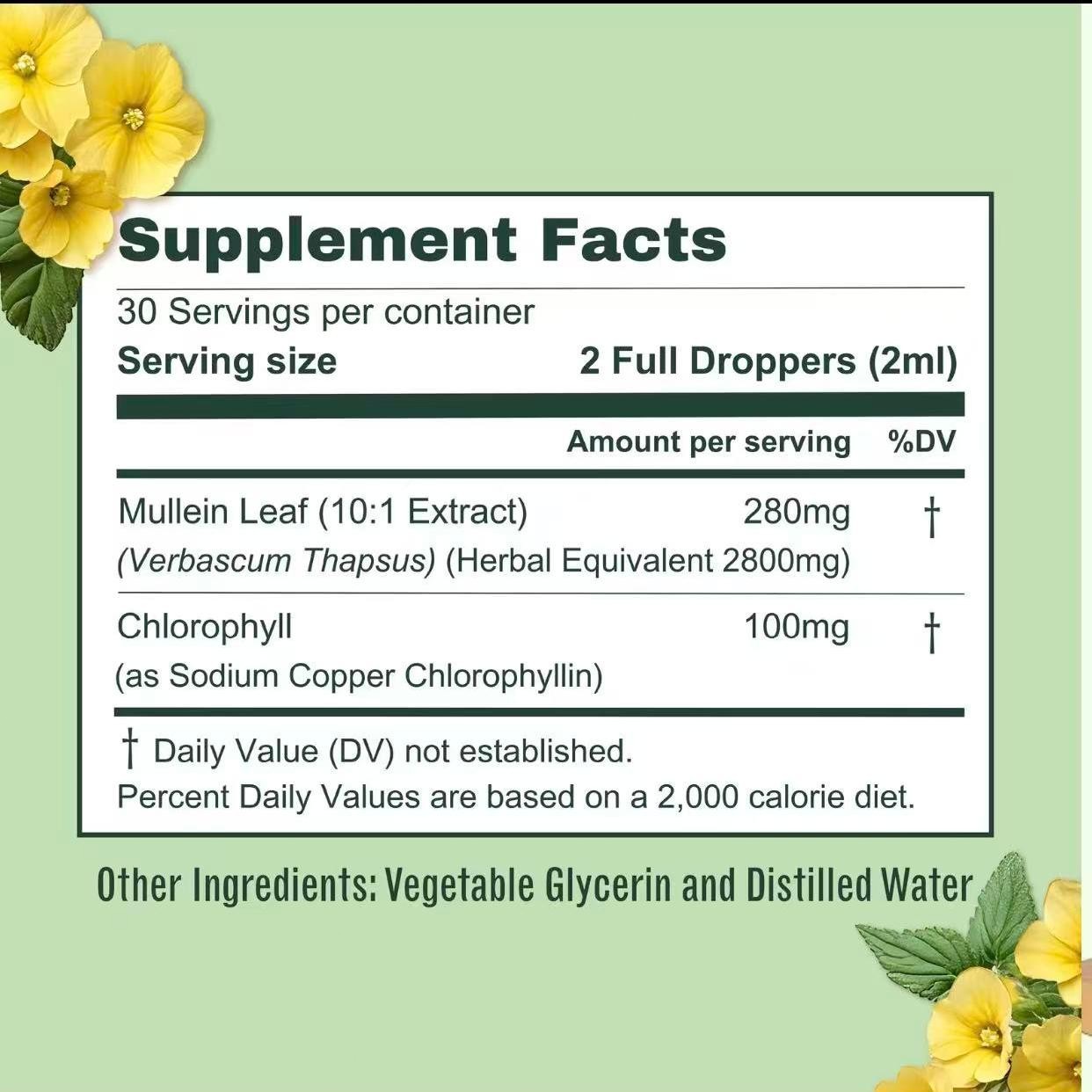 Mullein Leaf & Chlorophyll Drops for Lung Detox & Mucus Cleanse - 30 Servings
