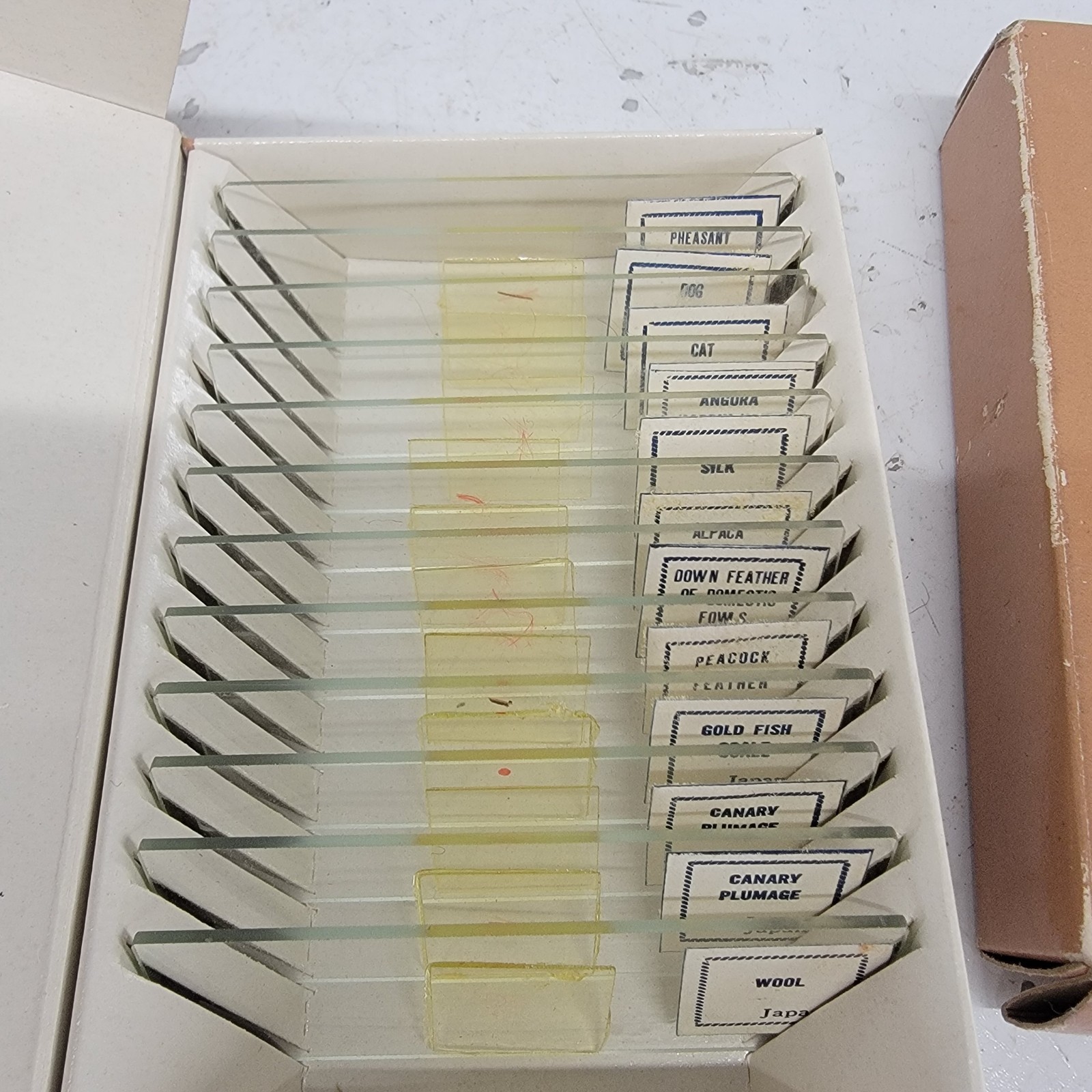 Vintage Compass Prepared Microscope Slides Lot 3 Sets Vegetables Algae Animals J