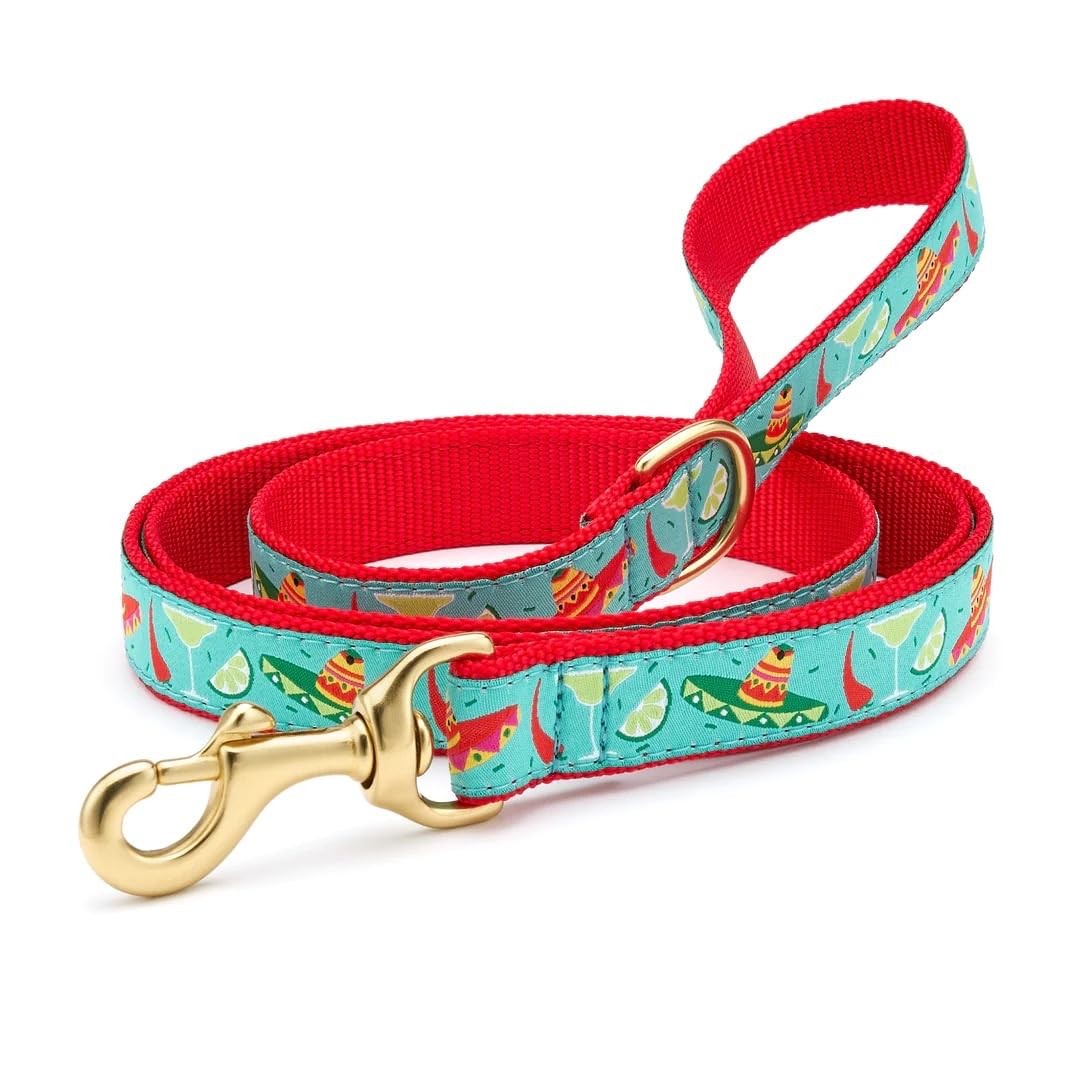 Cinco De Mayo Pattern Dog Lead Pet Leash DRing 5 Foot 5/8 Inch Narrow