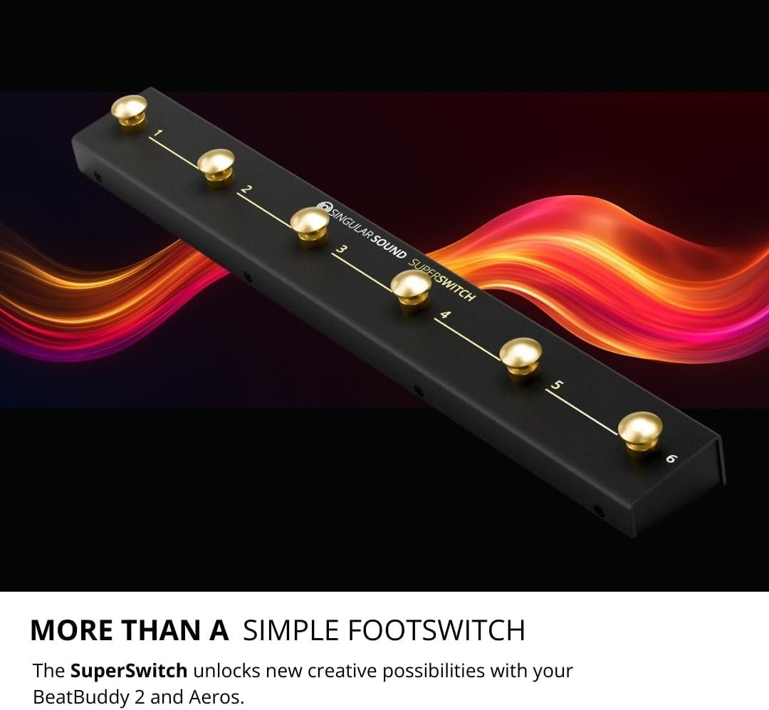Singular Sound SuperSwitch
