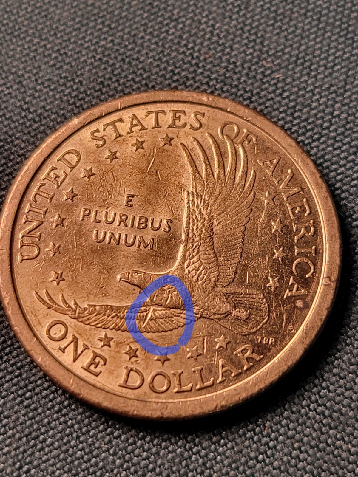 2000-D Sacagawea Dollar Speared Wing Wounded Eagle Very Unique Rare Coin