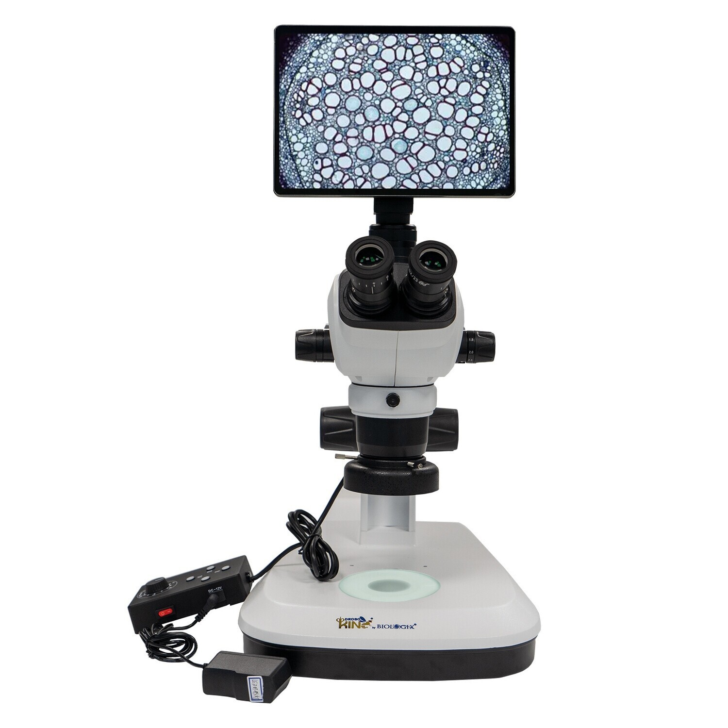 Trinocular Microscope, Eyepiece 10X/23mm(adjustable viewing), With 10.5 inch