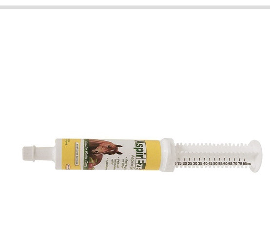 Durvet AspirEze Aspirin Gel PRODUCT DESCRIPTION  Durvet AspirEze Aspirin Gel