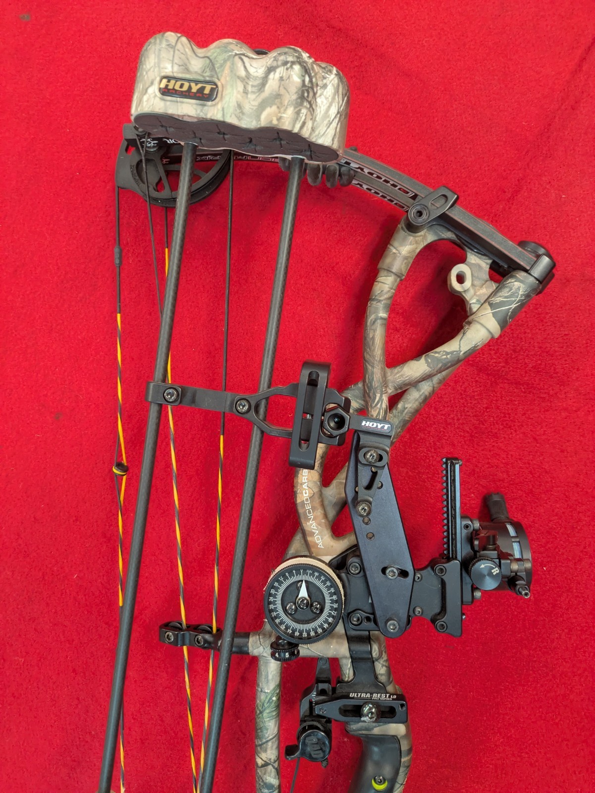 Hoyt Carbon Matrix Compound Bow