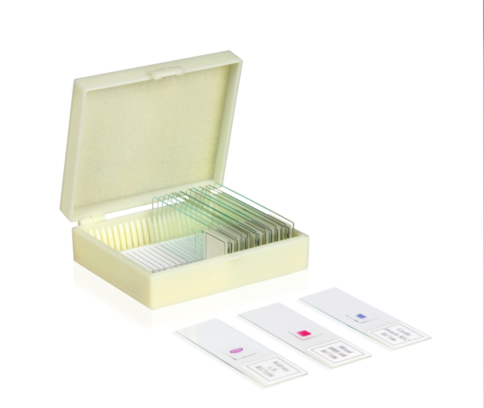 Prepared Slide Set – Meiosis & Mitosis (Set of 9) Package