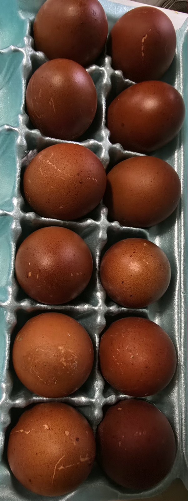 12* Dark Layer Hatching eggs. Dozen