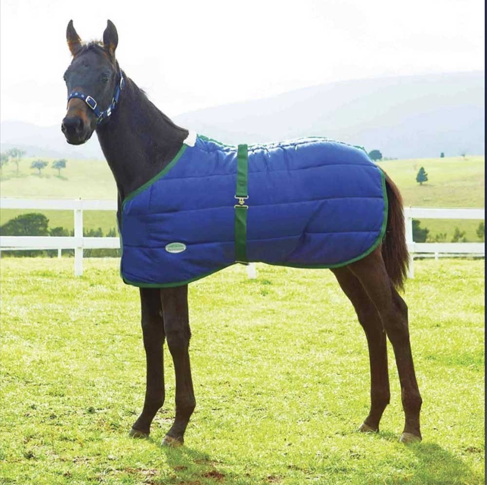 WeatherBeeta 420D Standard Neck Growing Foal Stable Blanket 180g Medium 42 - 57