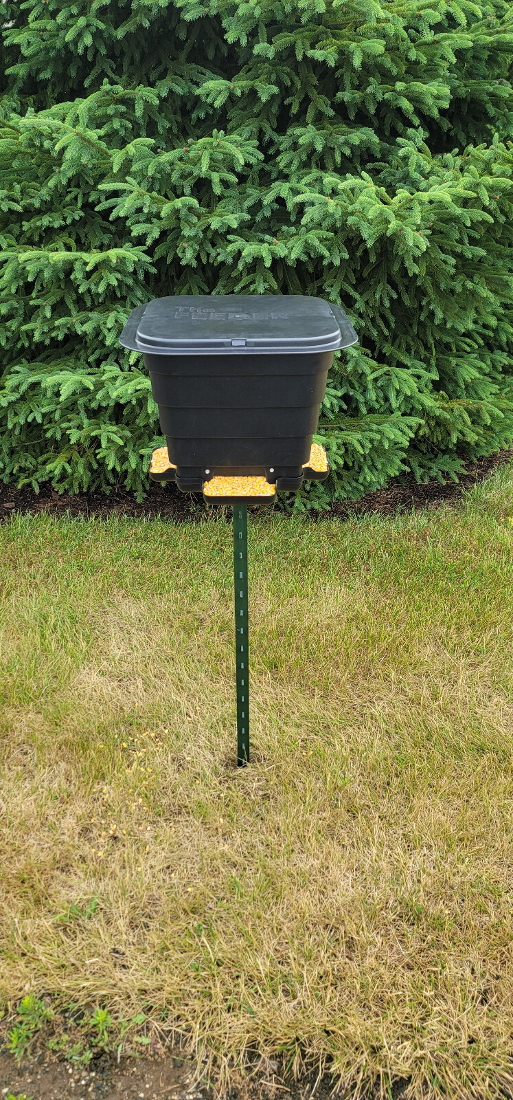 Deer feeder