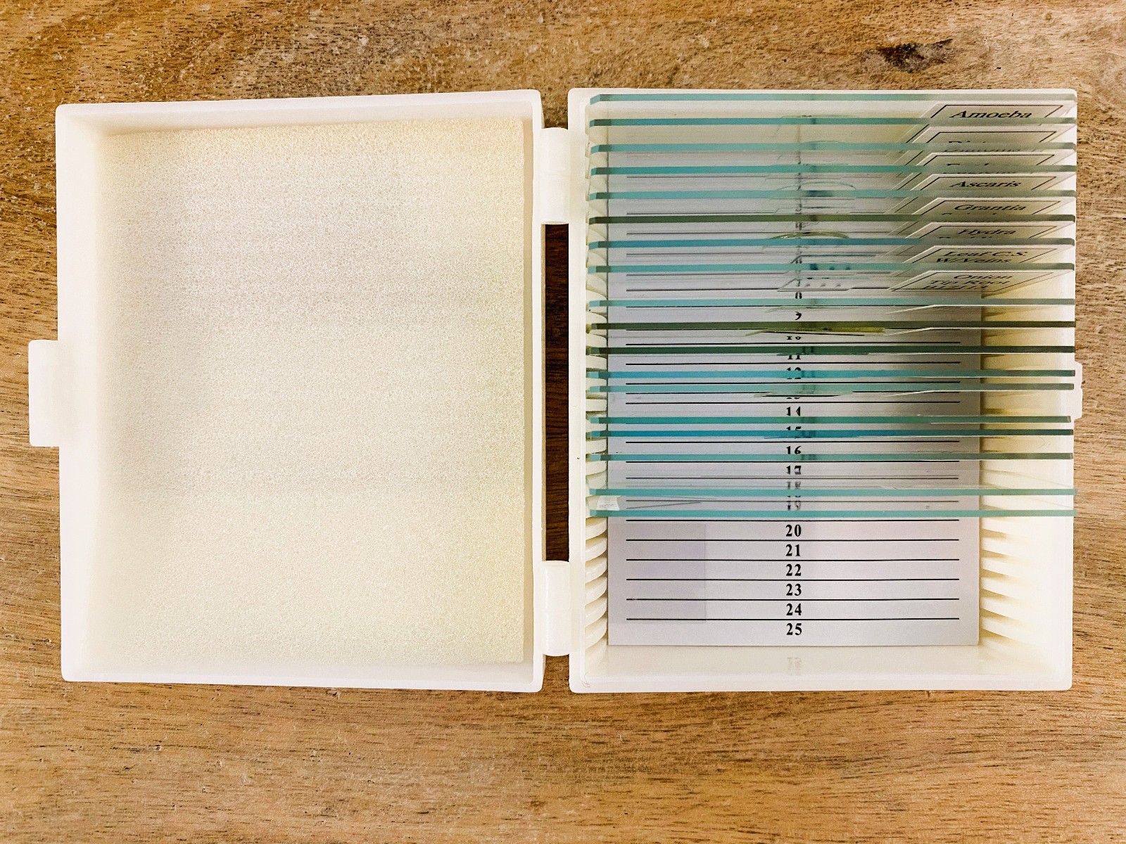 Apologia Biology Prepared Slides Complete Set