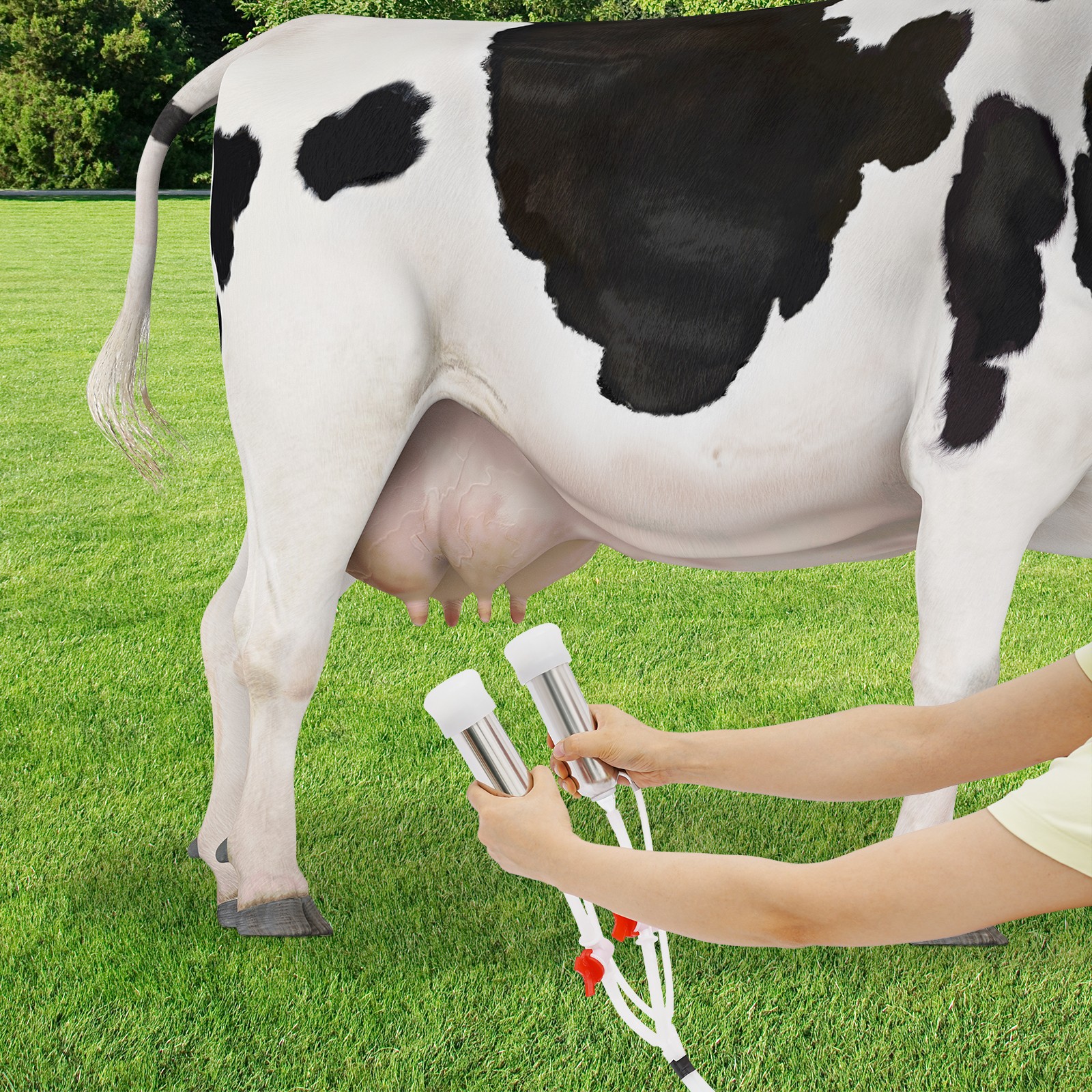 Electric Pulsation Cow Milking Machine, 3L Stainless Steel Bucket