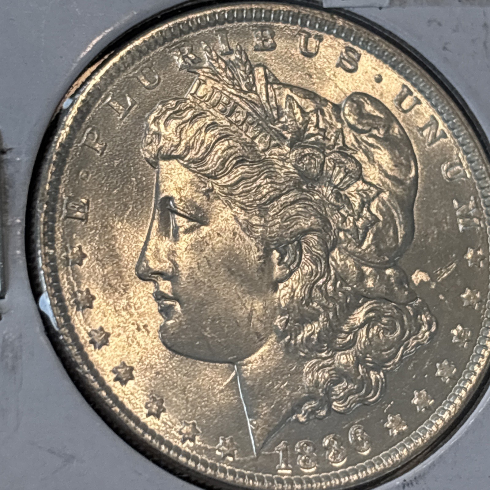 1886 MORGAN SILVER DOLLAR UNCIRCULATED MS Coin