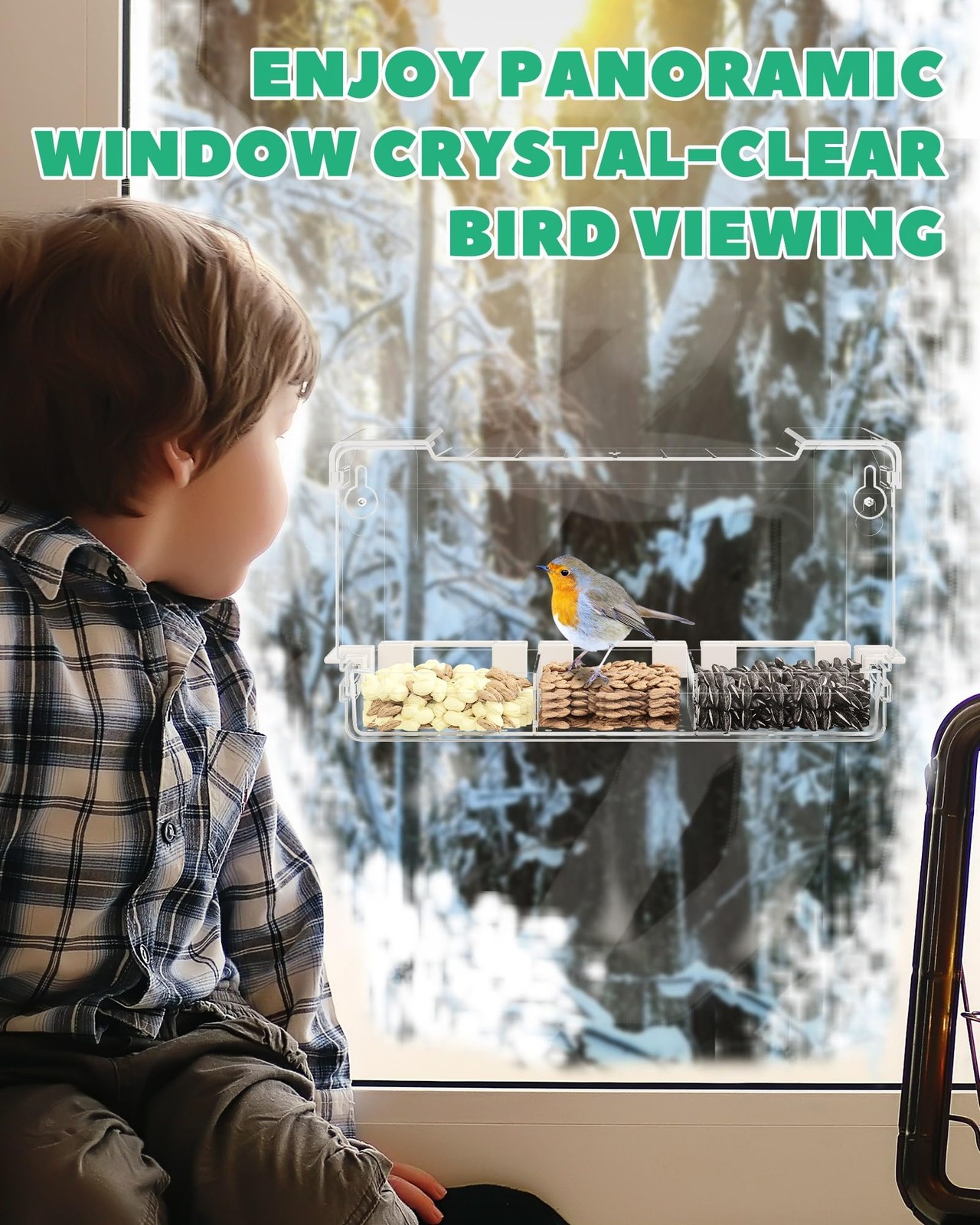Clear Window Bird Feeder Outdoors - for Viewing with 5