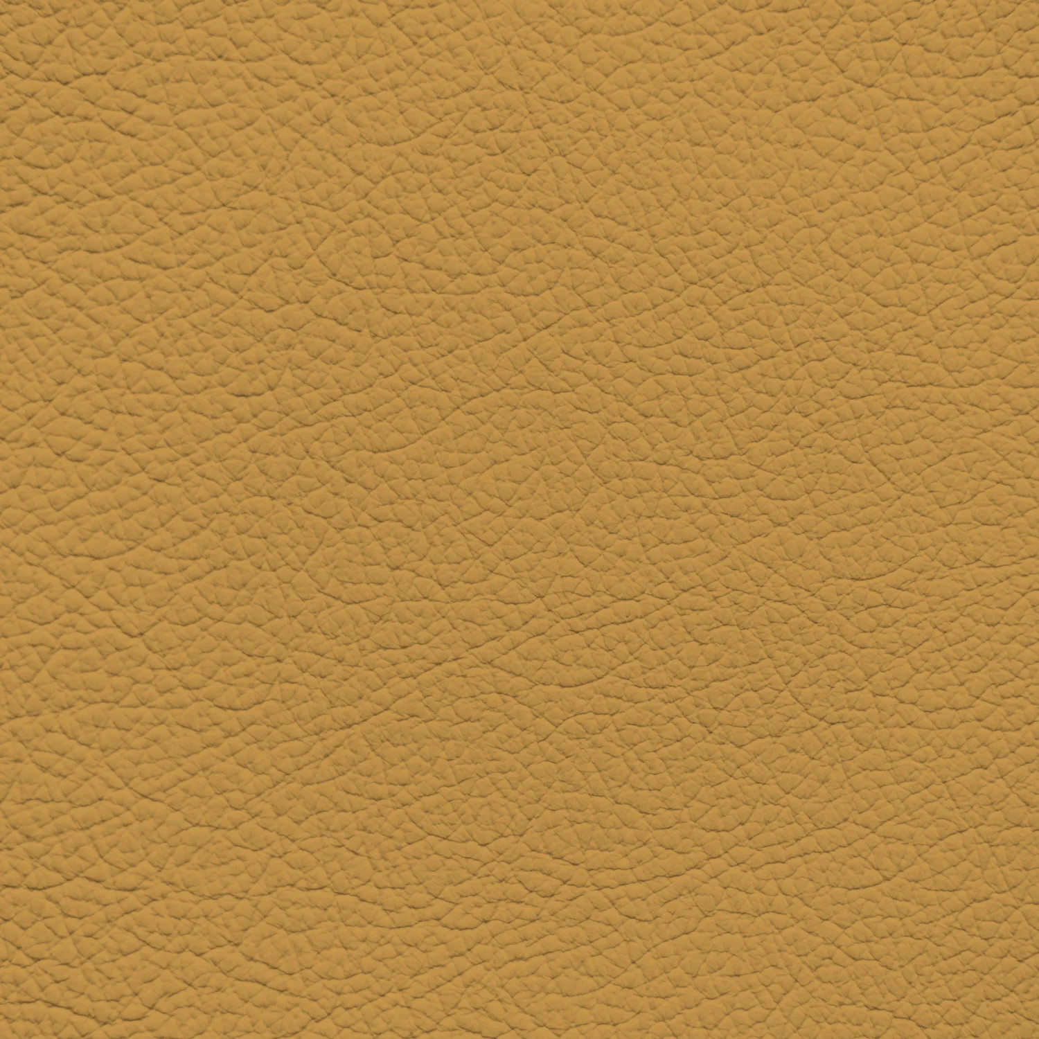 Ford/Lincoln/Mercury Chamois Leather Dye