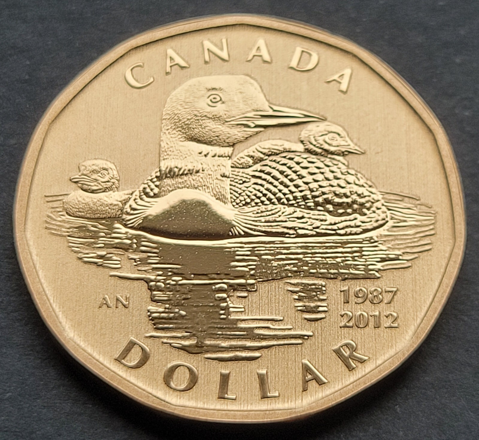 ***  CANADA   LOONIE  2012  ***  SPECIMEN  ***  COMMON  LOON  ***