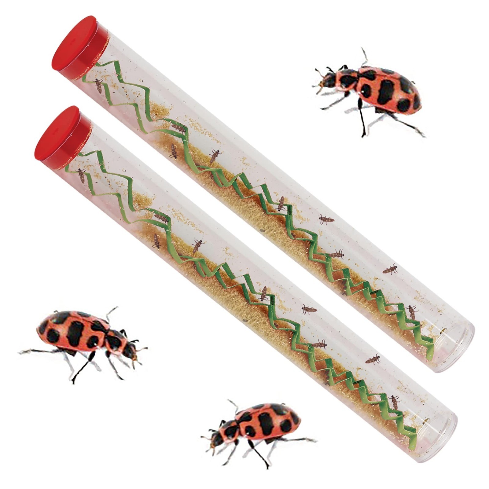 Ladybug Larvae Kit - 2 Tubes with STEM Journal - Raise & Release Pink Spotted La