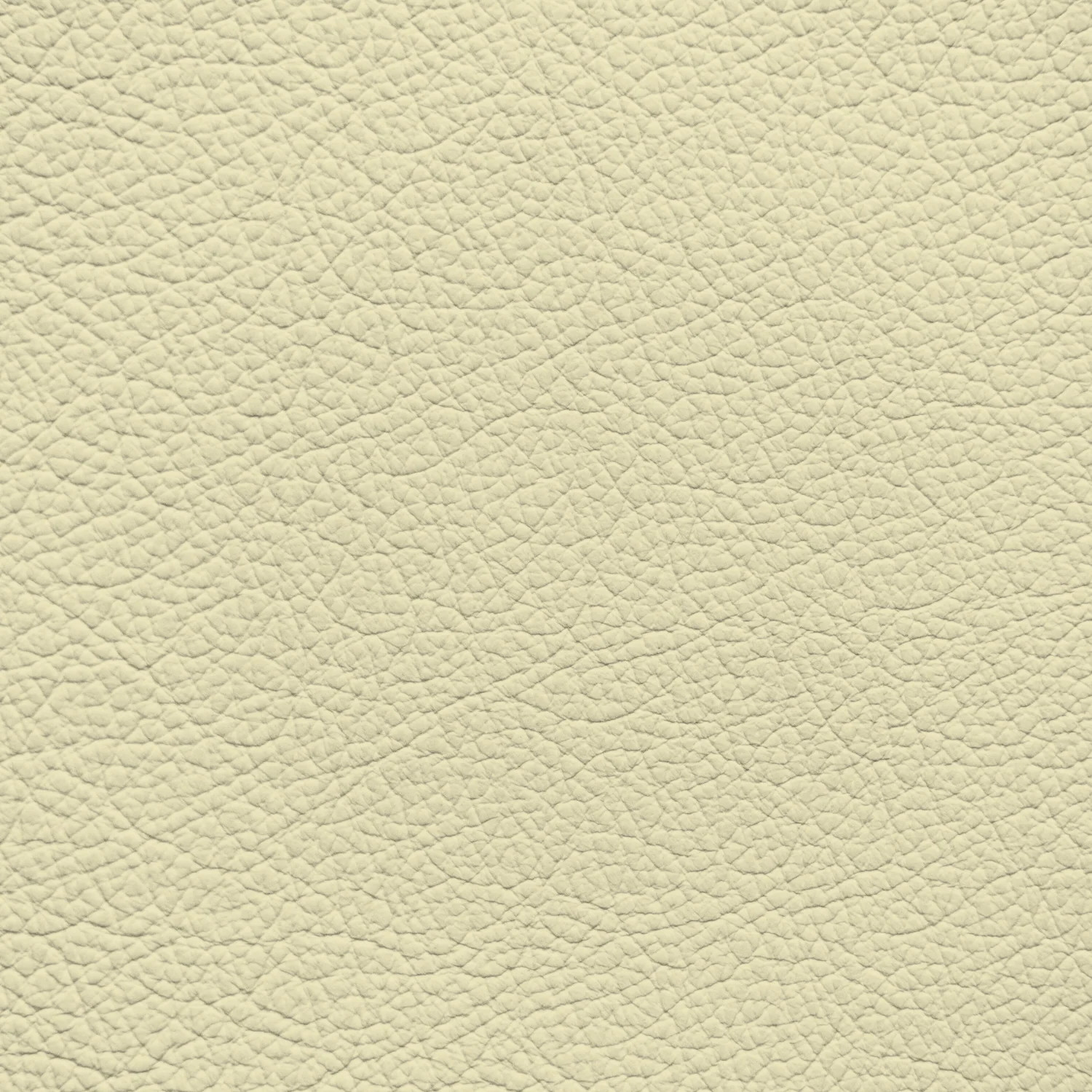 Audi Cream Beige Leather Dye
