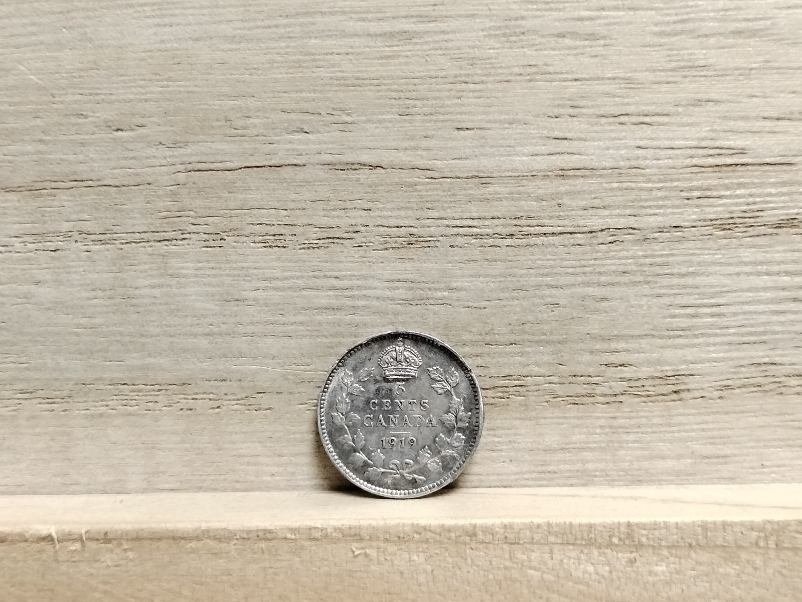 1919 5 Cents Canada Silver Coin (George V)
