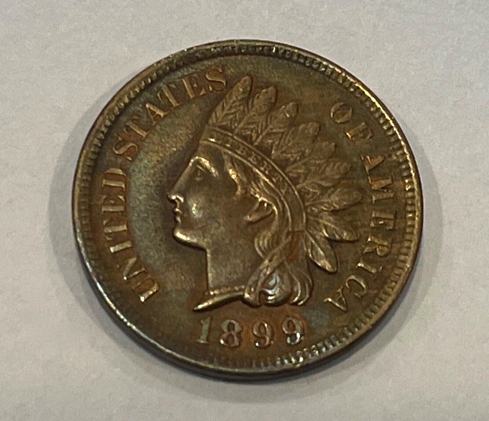 1899 Indian Head Cent Uncirculated #195