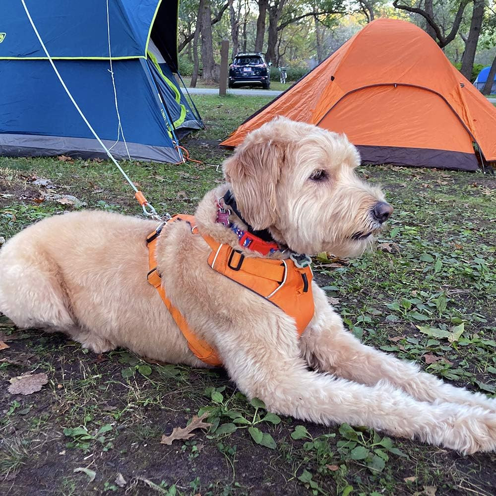 BV Dog Tie Out Cable 25 Feet - Heavy Duty Dog Lead up to 90 Pounds - Reflective