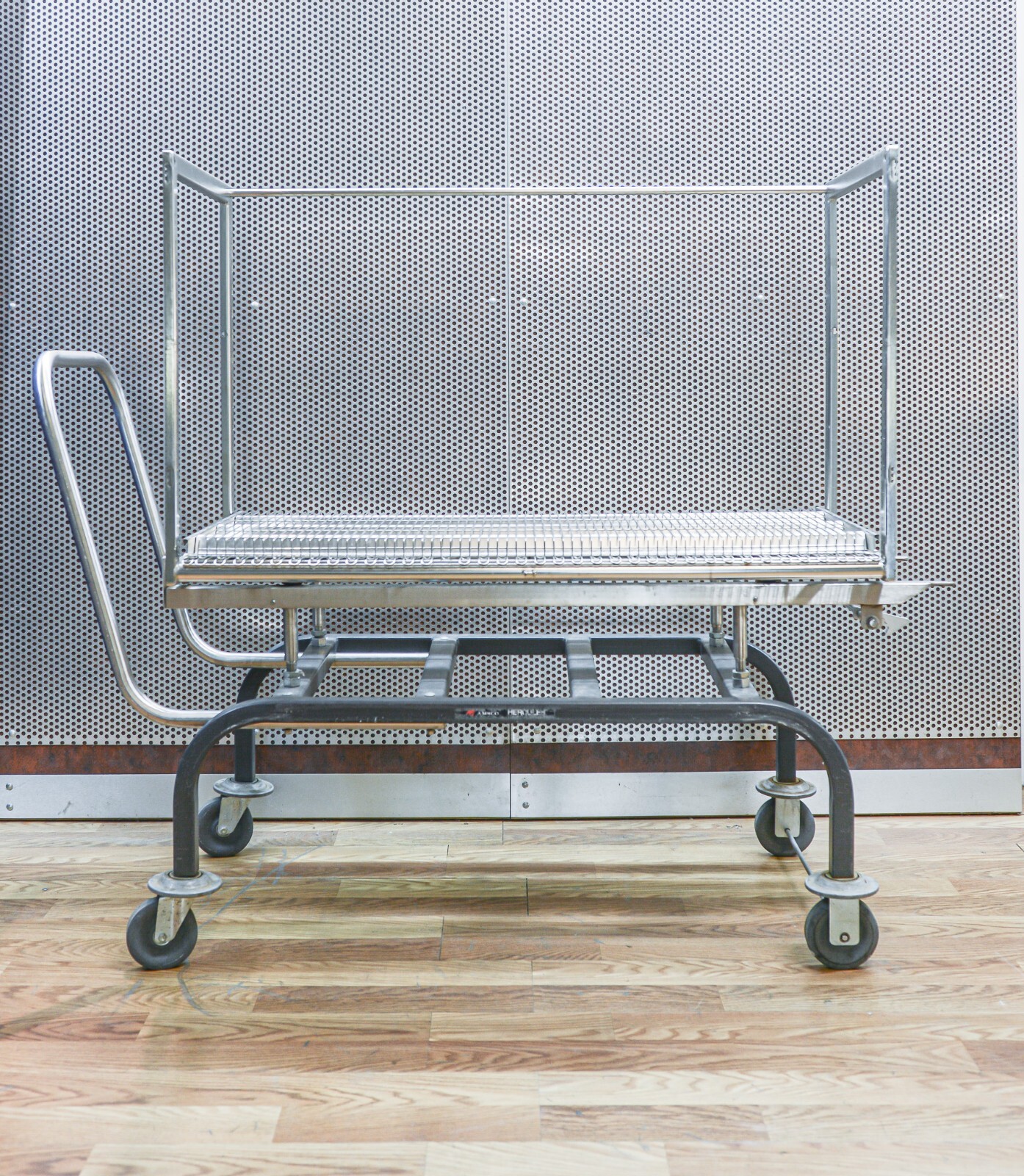Steris Amsco Sterilization Transport Transfer and Loading Cart 48" x 24"